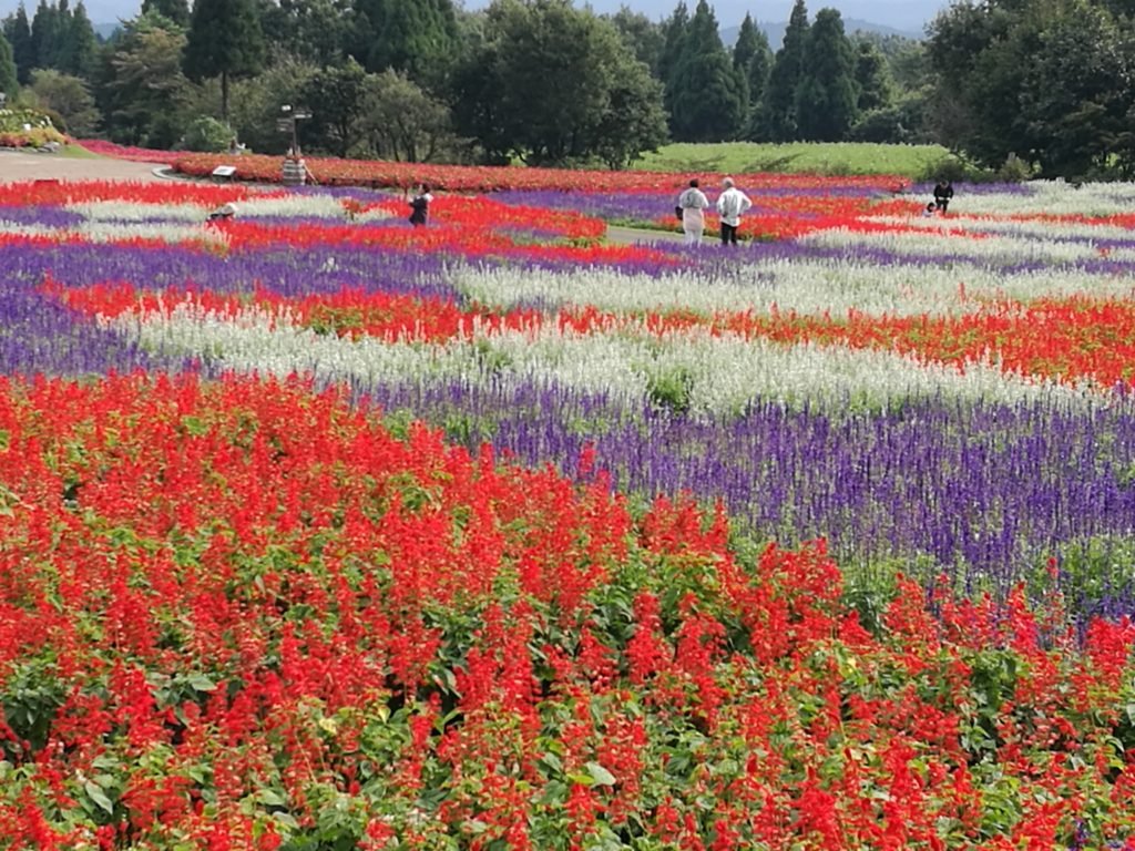 🏞️ 구마모토현 농업공원 컨트리 파크 이미지 6